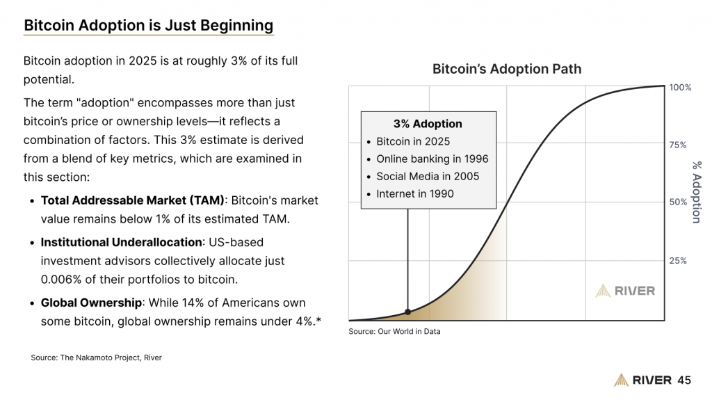 bitcoin adoption
